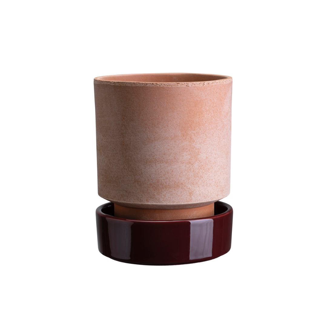 Hoff Raw Pot / Glazed Saucer Set - Batten Home