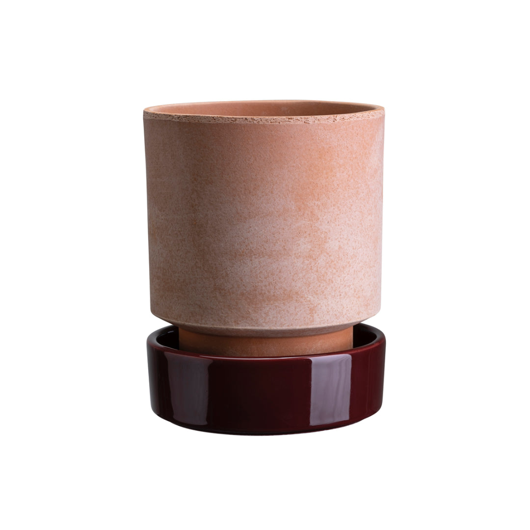 Hoff Raw Pot / Glazed Saucer Set - Batten Home