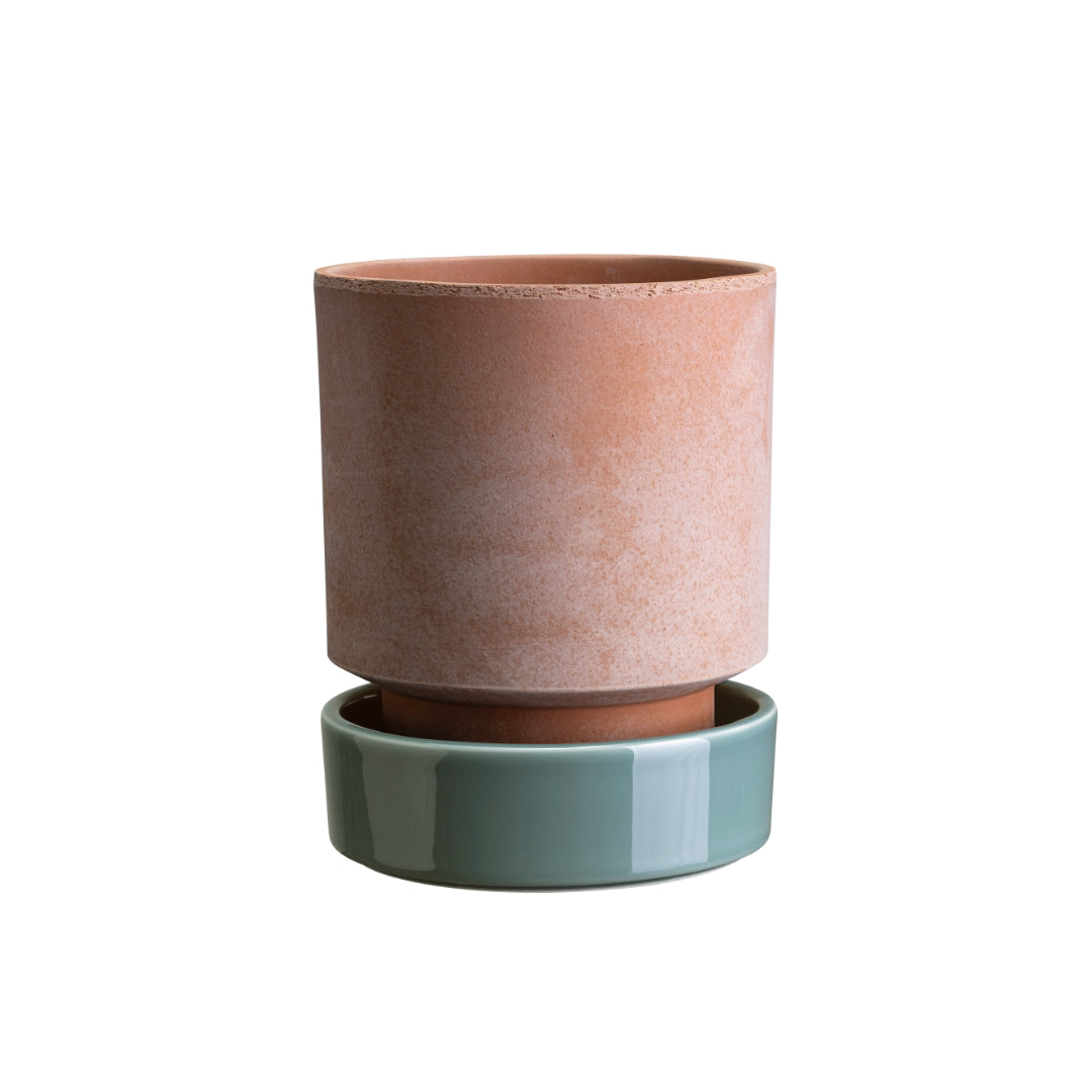 Hoff Raw Pot / Glazed Saucer Set - Batten Home