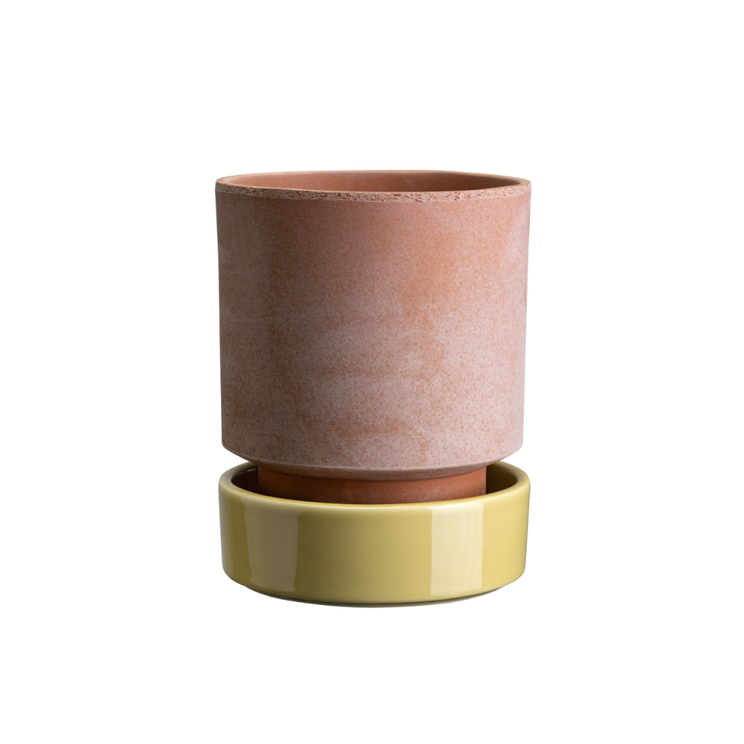 Hoff Raw Pot / Glazed Saucer Set - Batten Home