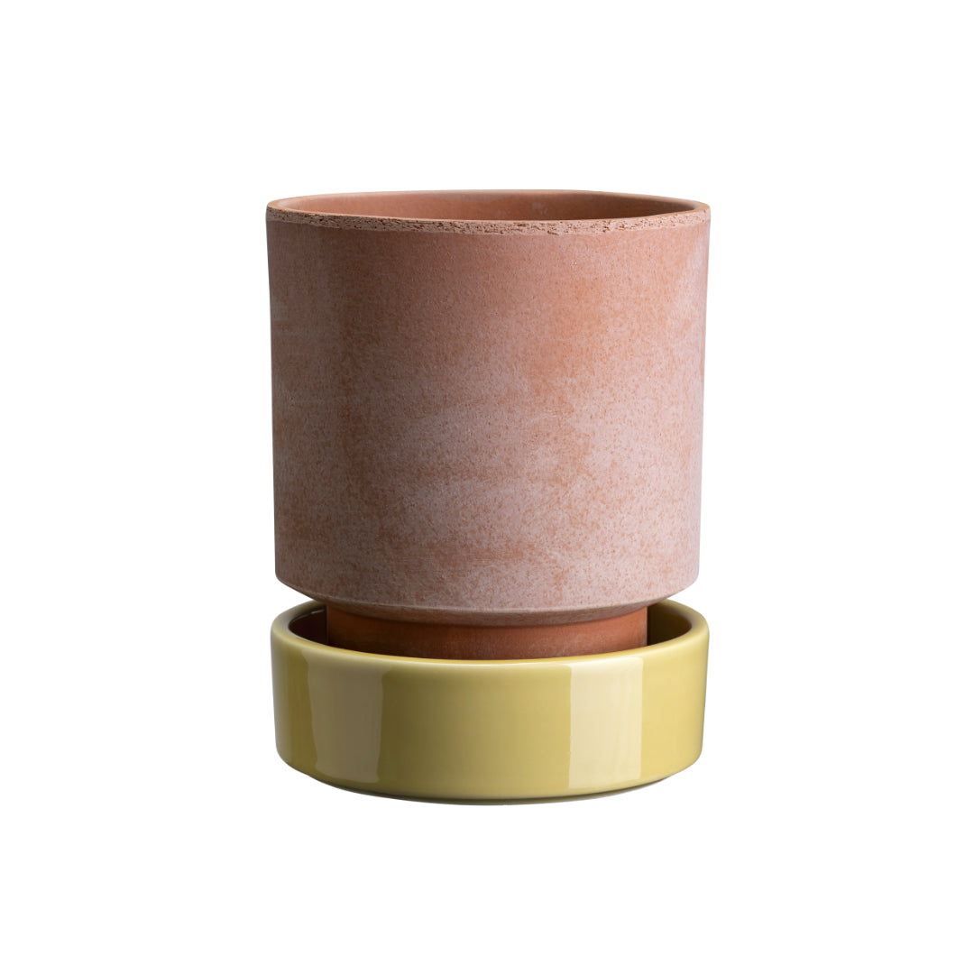 Hoff Raw Pot / Glazed Saucer Set - Batten Home
