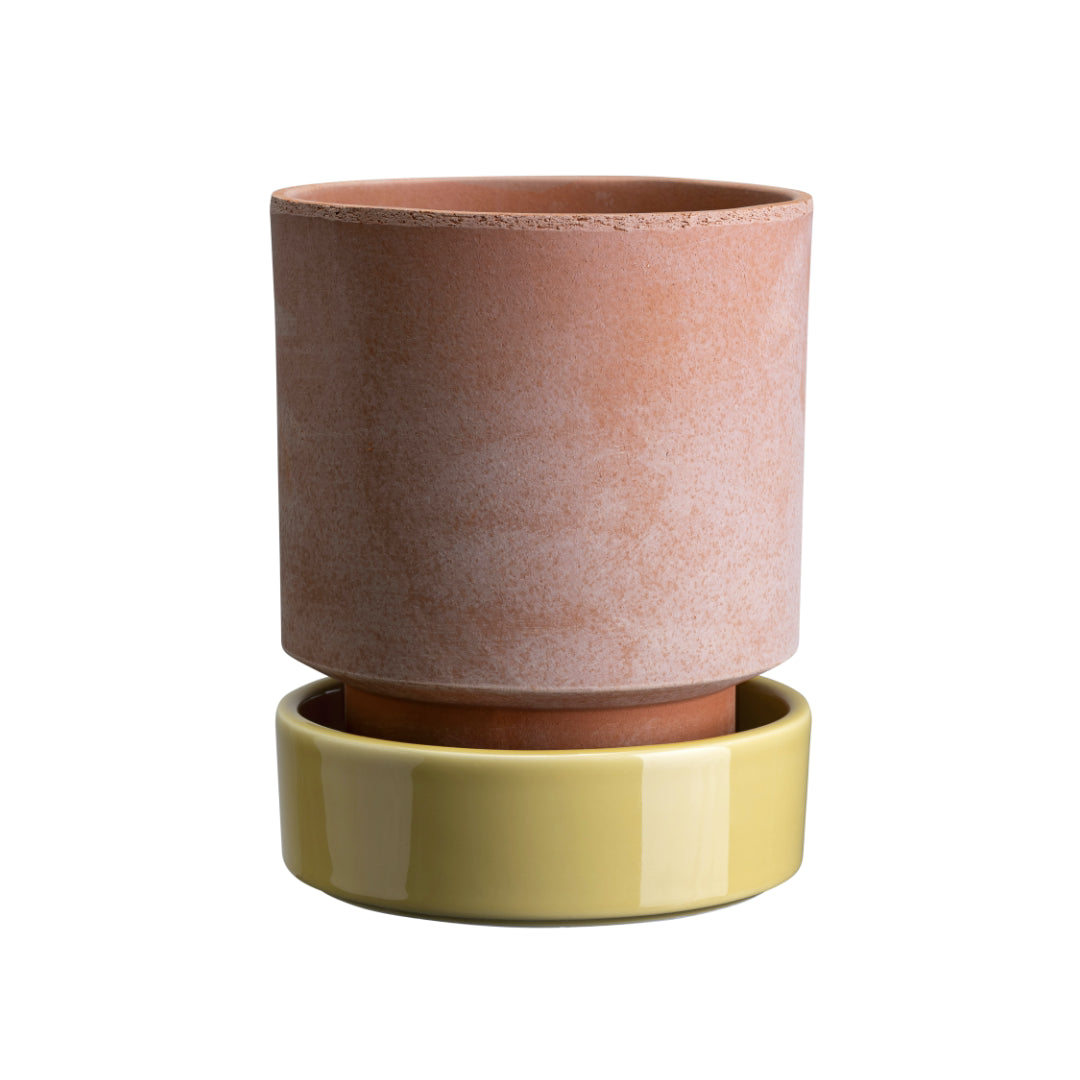 Hoff Raw Pot / Glazed Saucer Set - Batten Home