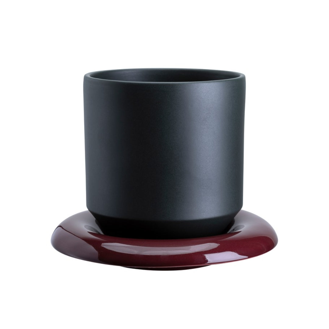 Lily Pot - Batten Home