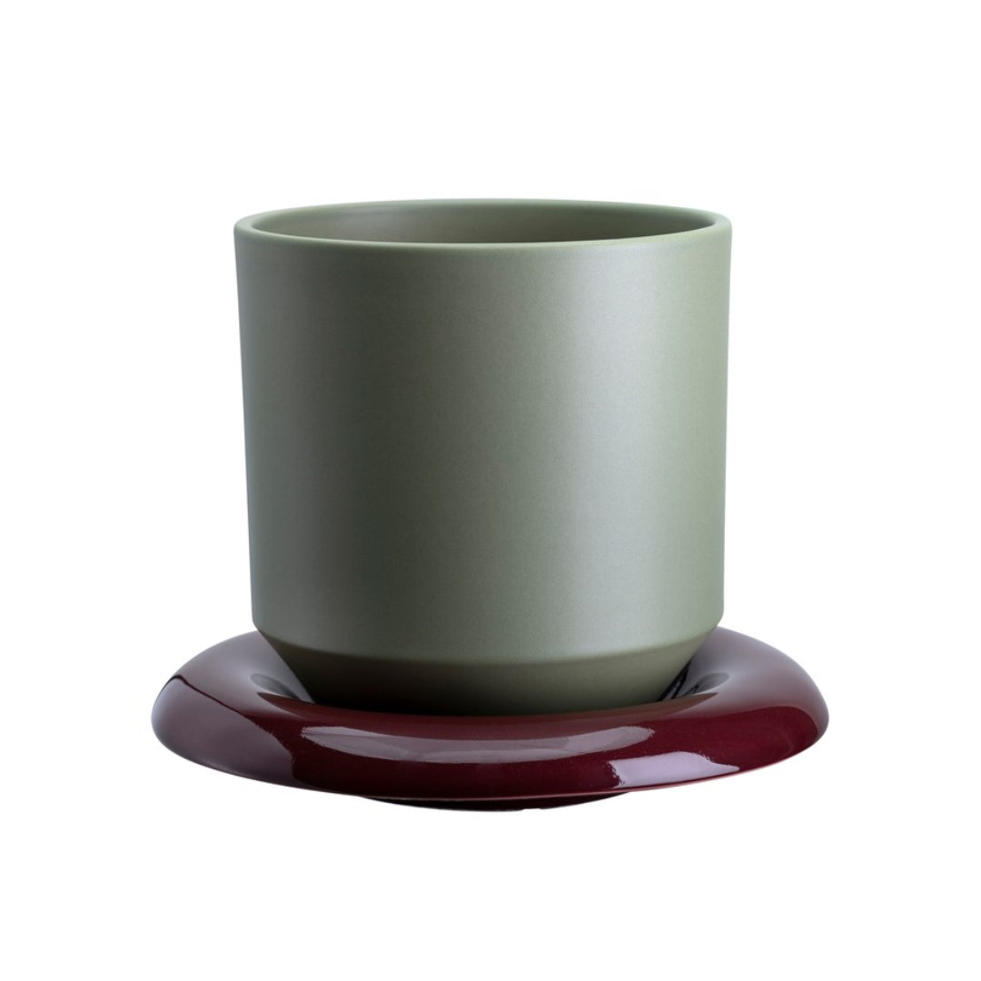 Lily Pot - Batten Home