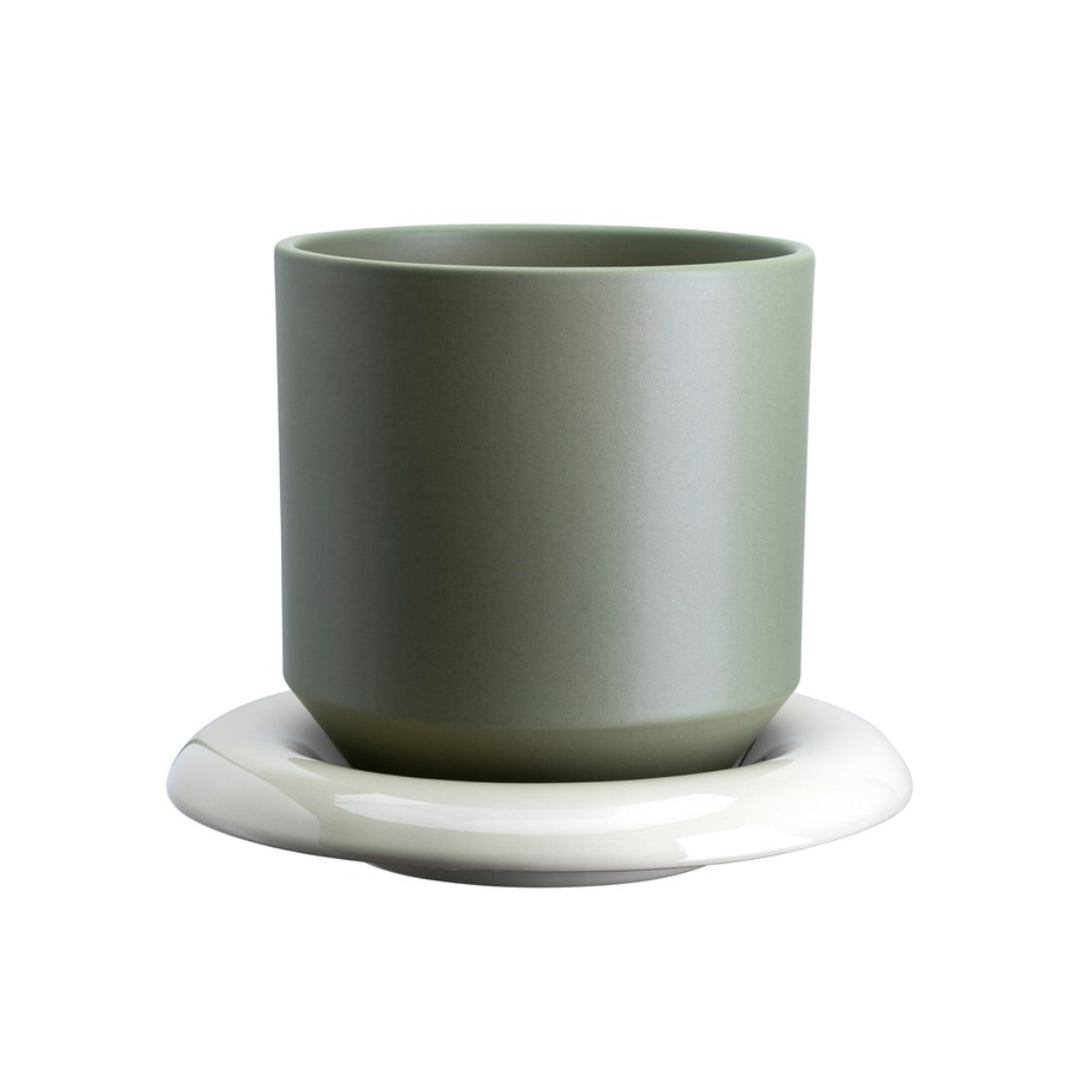 Lily Pot - Batten Home
