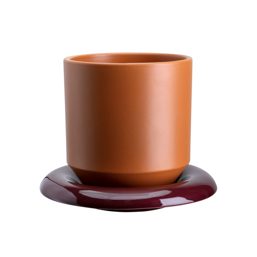 Lily Pot - Batten Home