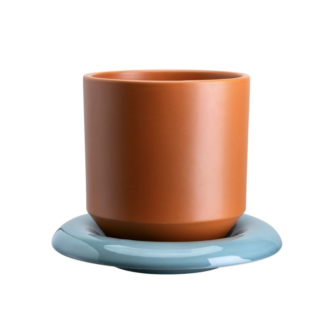 Lily Pot - Batten Home