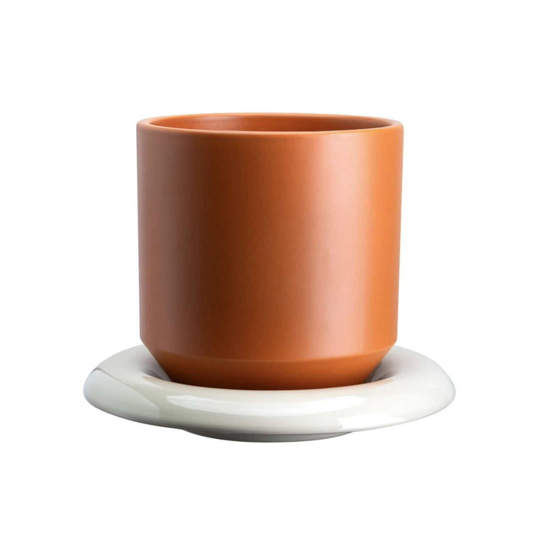 Lily Pot - Batten Home