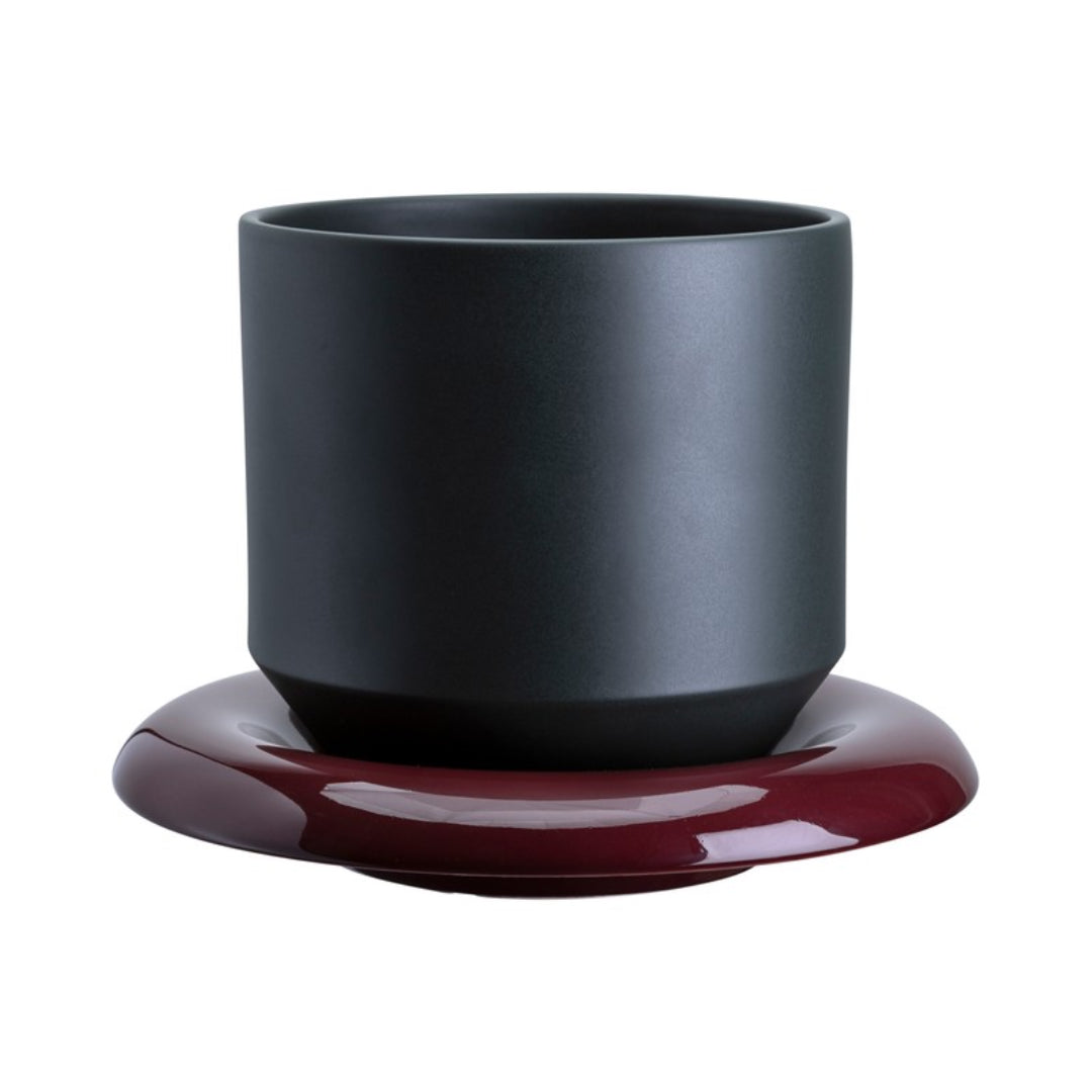 Lily Pot - Batten Home
