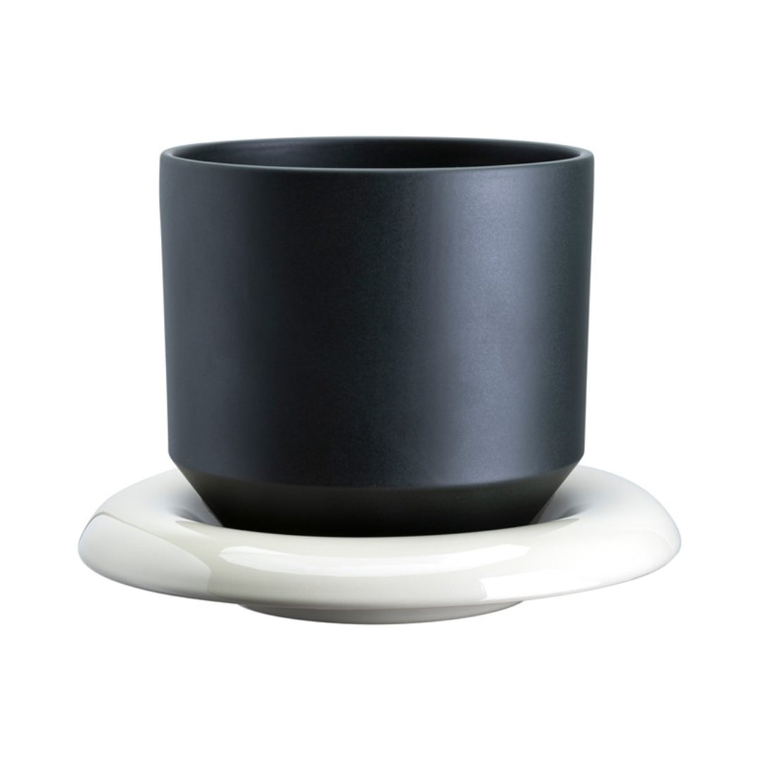 Lily Pot - Batten Home