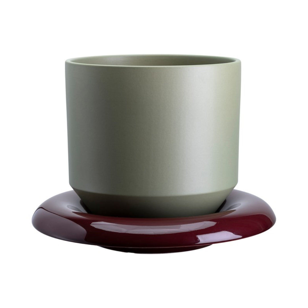 Lily Pot - Batten Home
