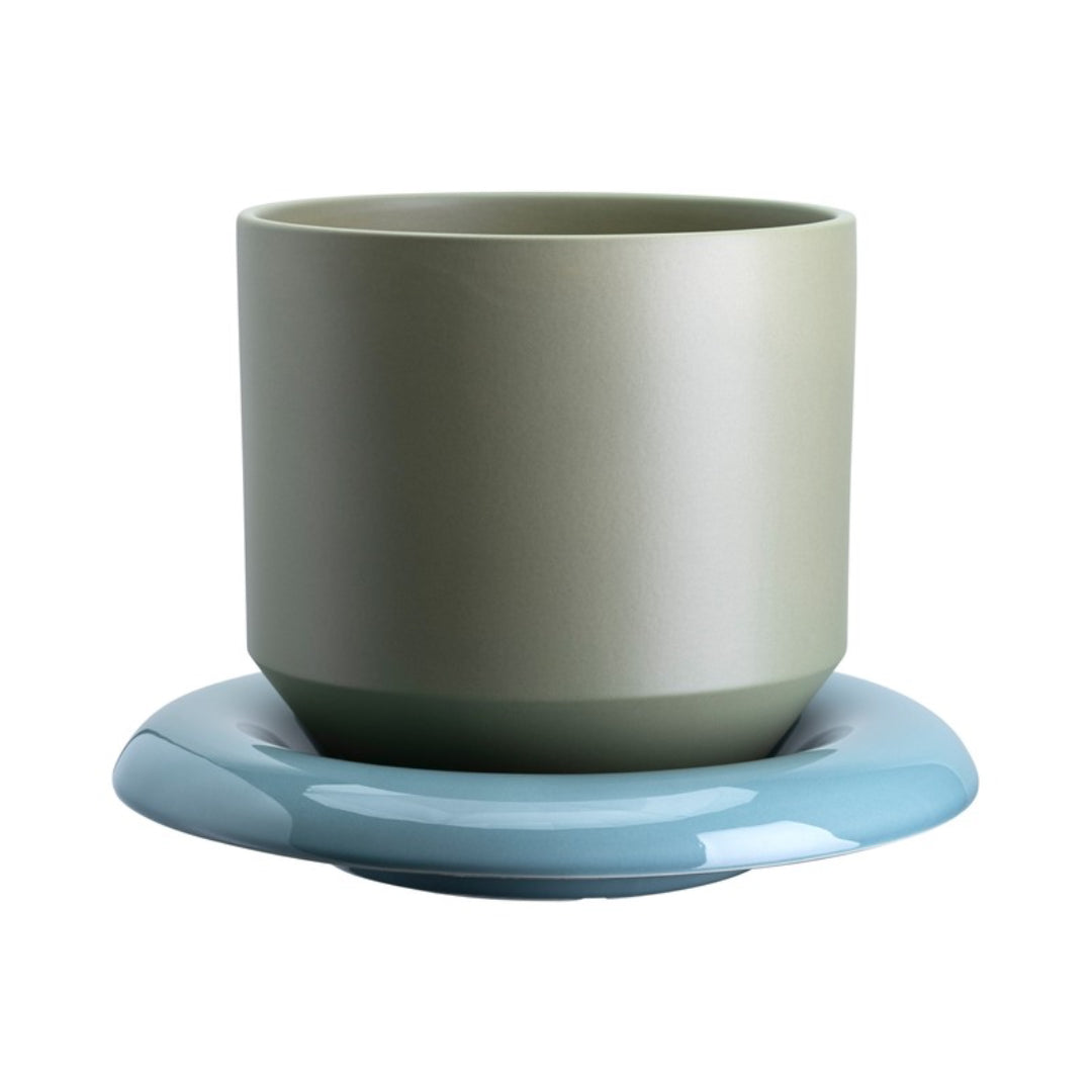 Lily Pot - Batten Home