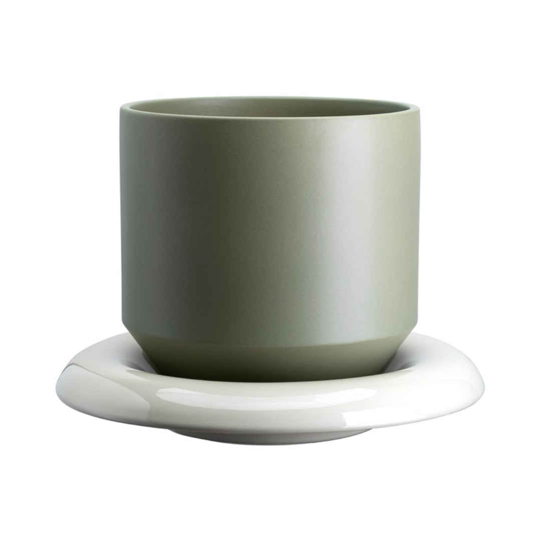Lily Pot - Batten Home