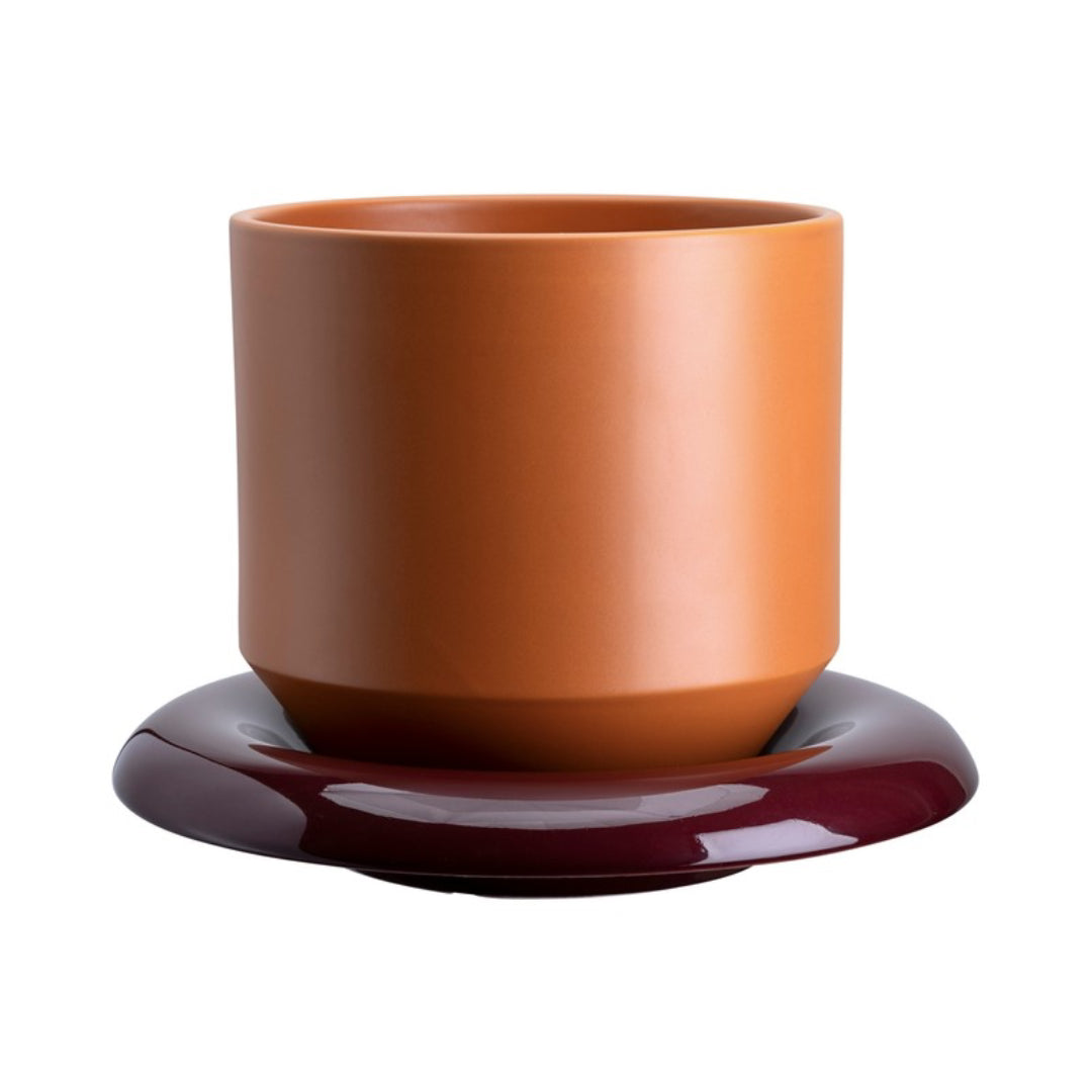 Lily Pot - Batten Home
