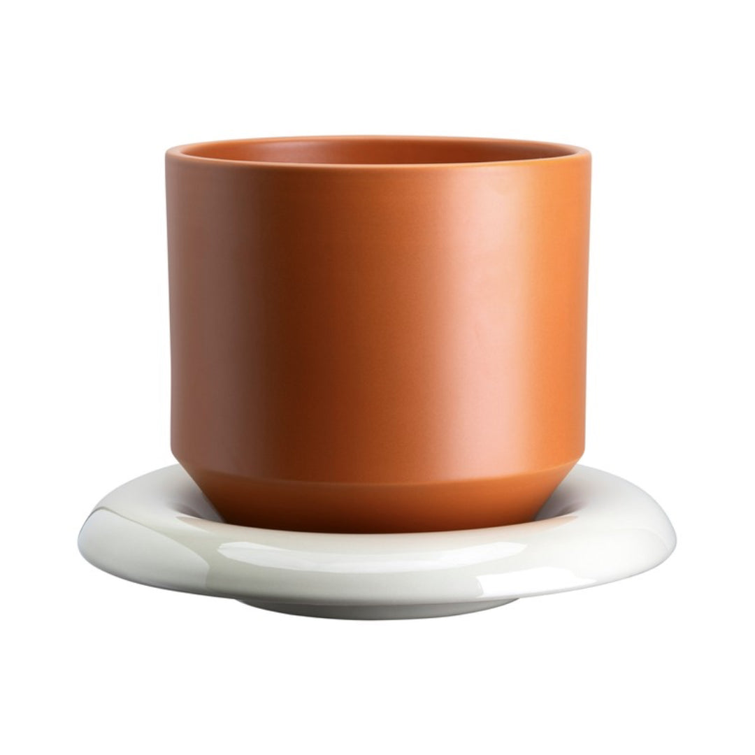 Lily Pot - Batten Home