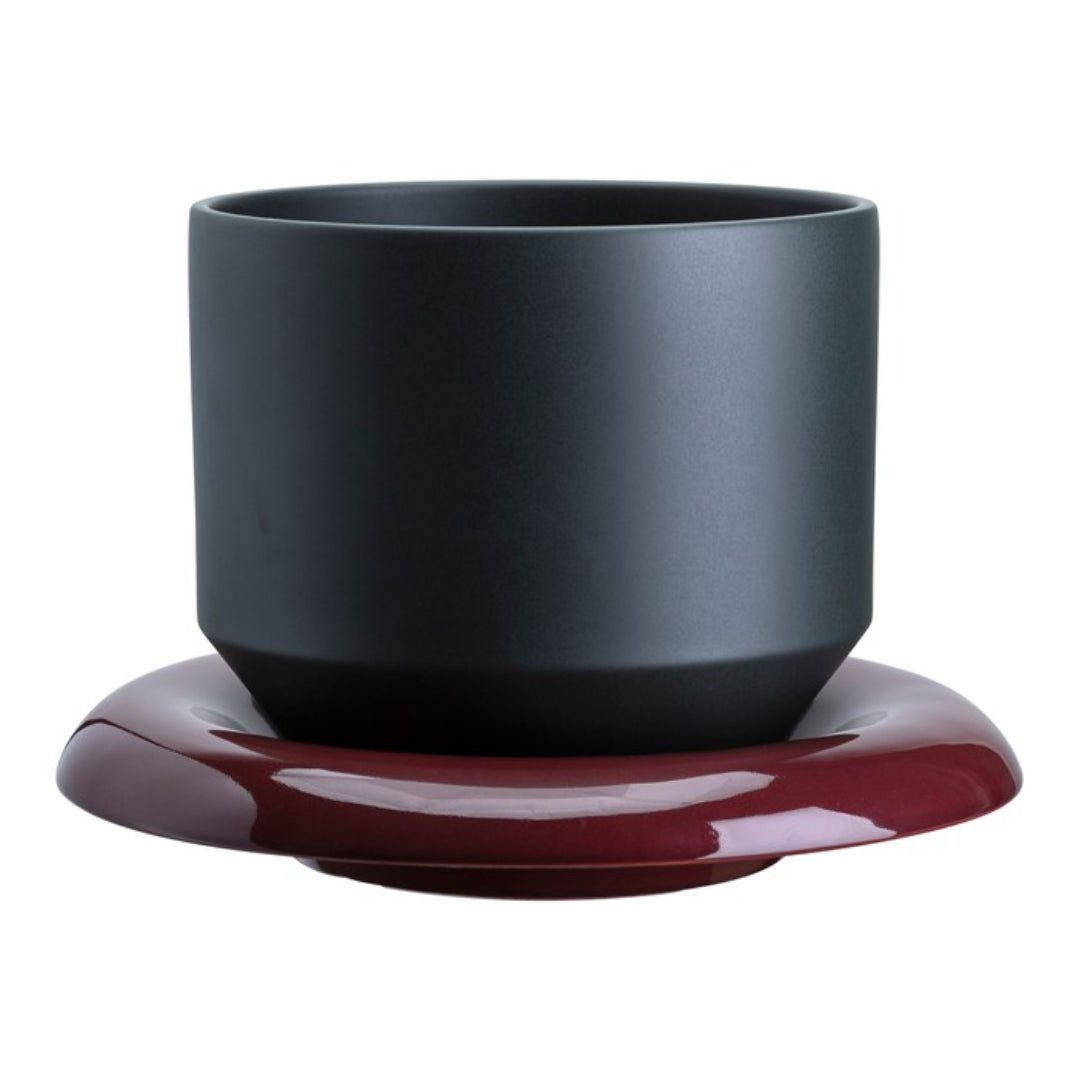 Lily Pot - Batten Home