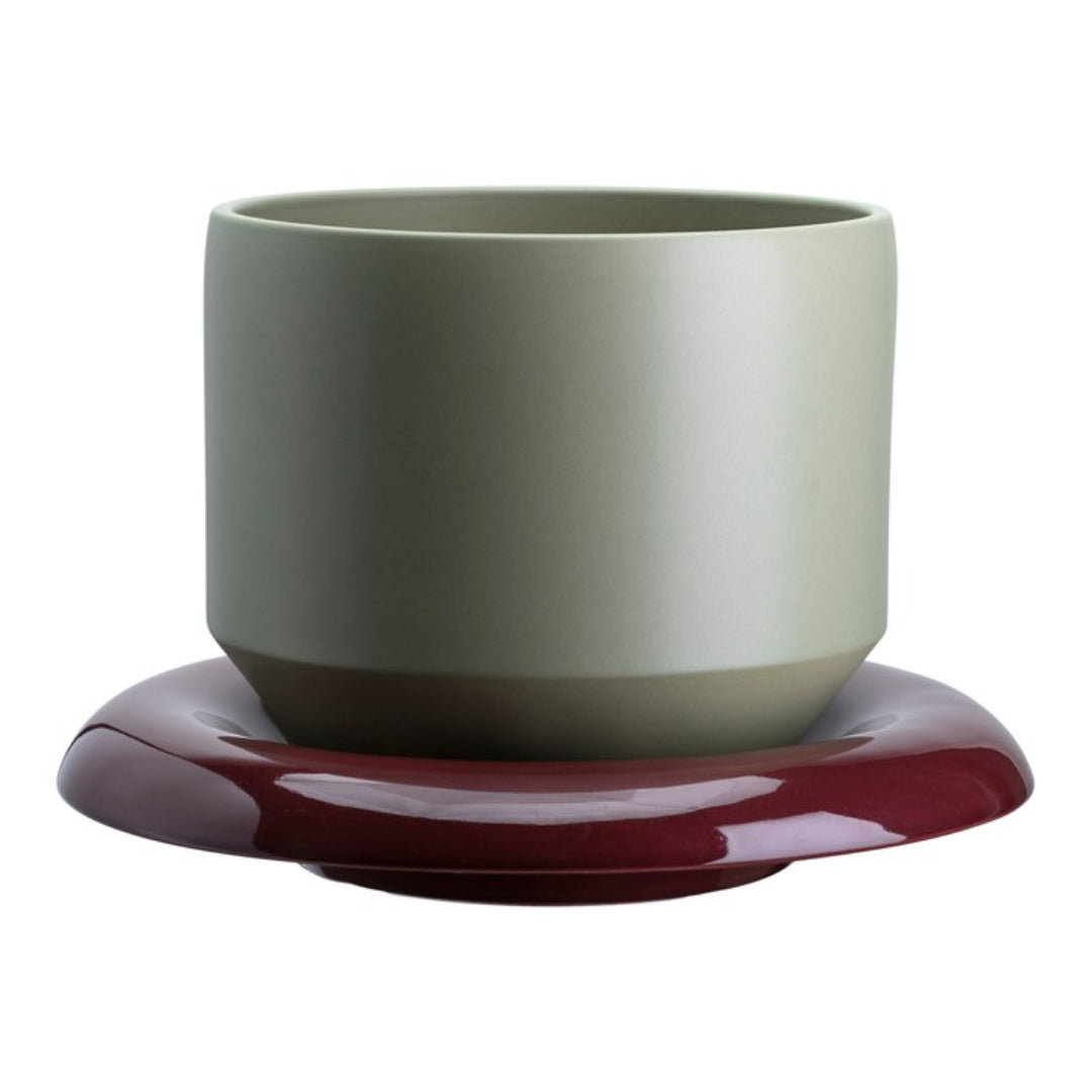 Lily Pot - Batten Home