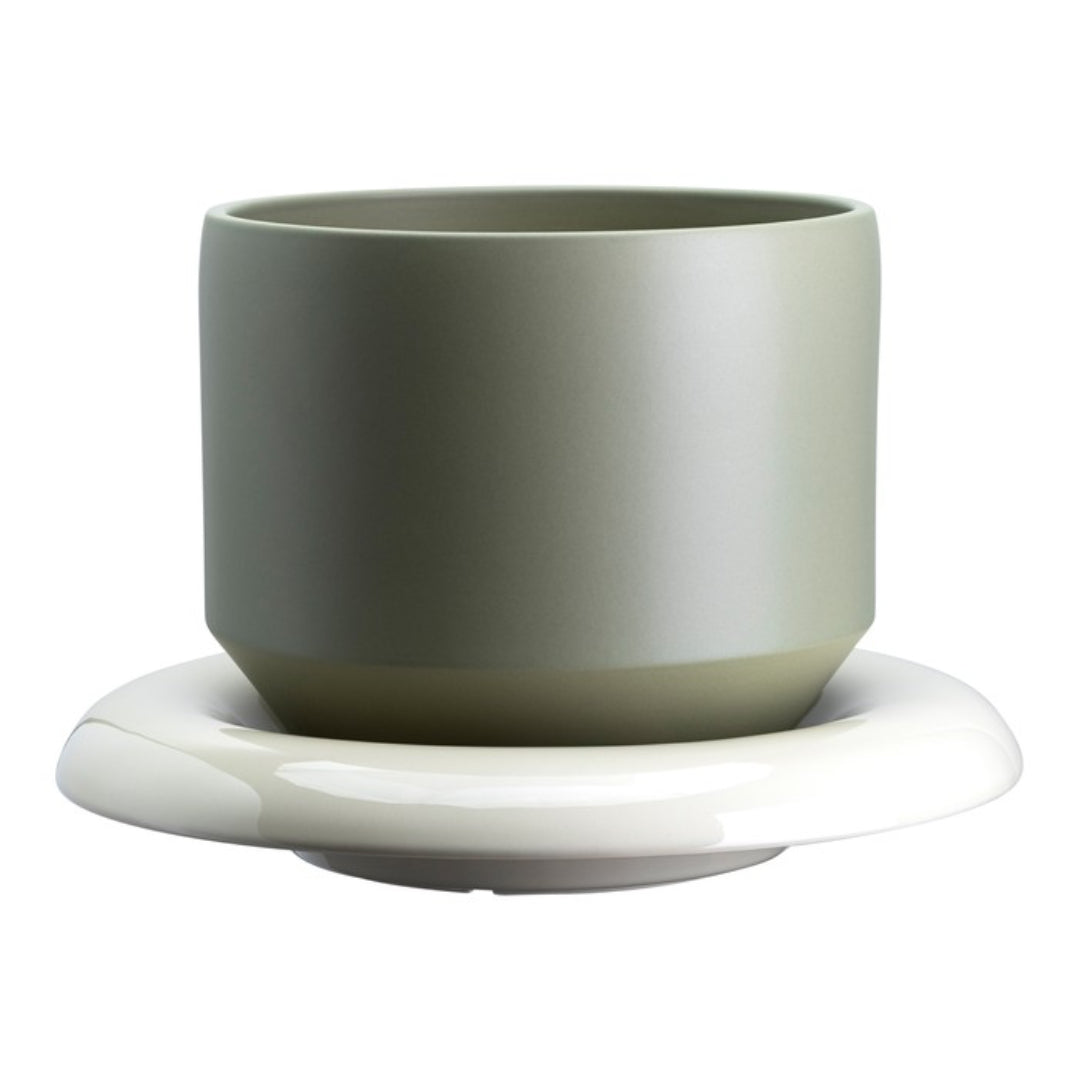 Lily Pot - Batten Home