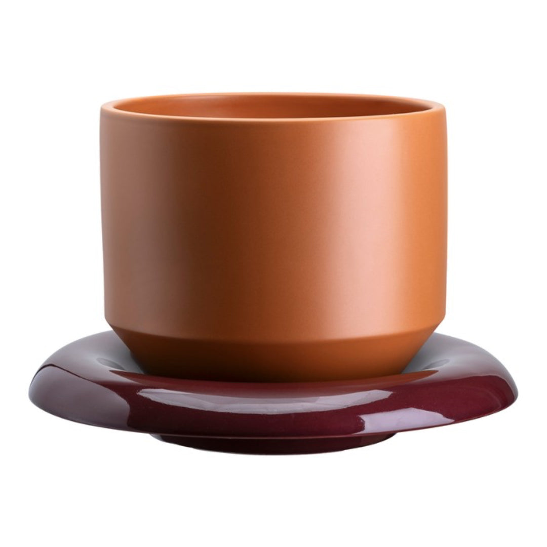 Lily Pot - Batten Home