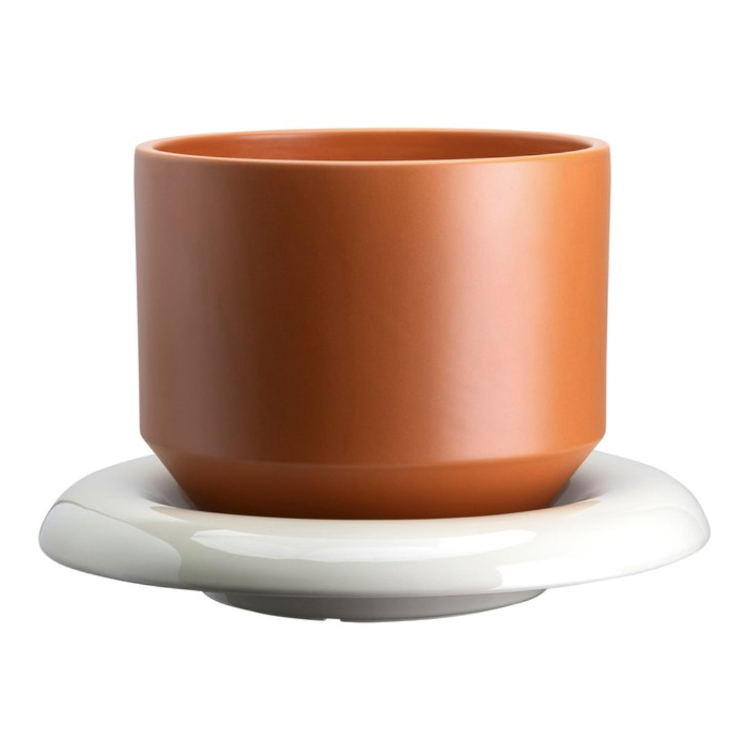 Lily Pot - Batten Home