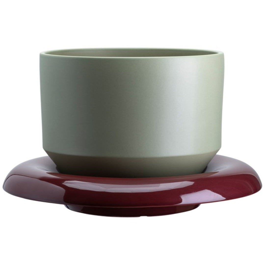 Lily Pot - Batten Home