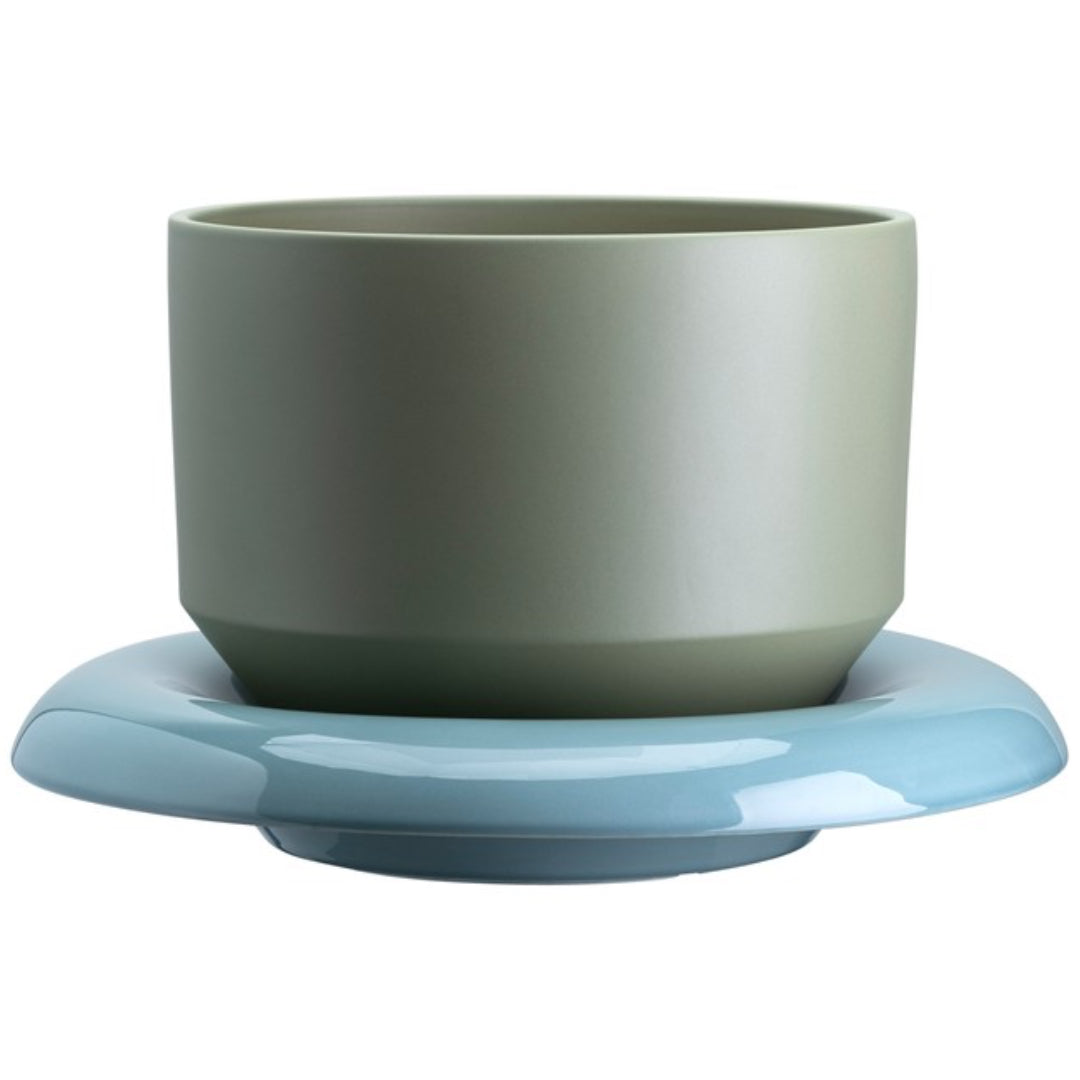 Lily Pot - Batten Home