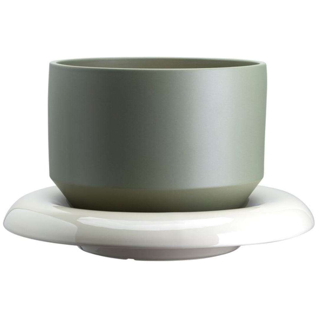 Lily Pot - Batten Home