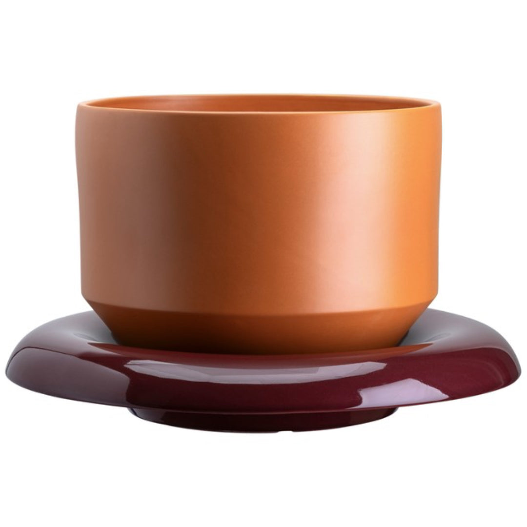 Lily Pot - Batten Home
