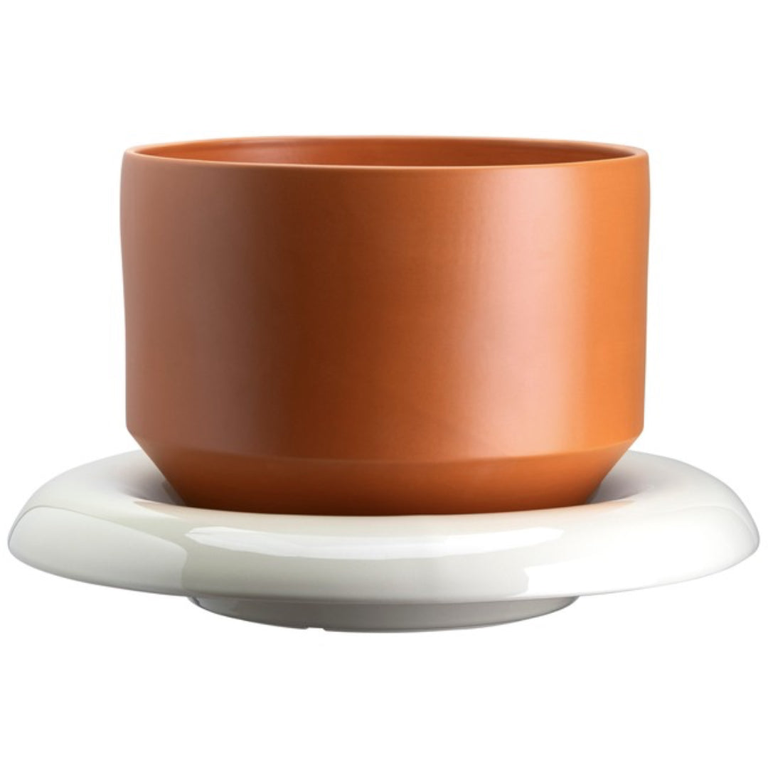 Lily Pot - Batten Home