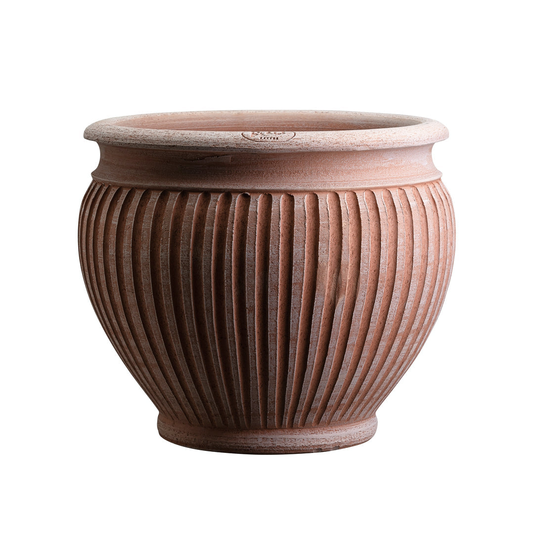 Piccolina Pot - Batten Home