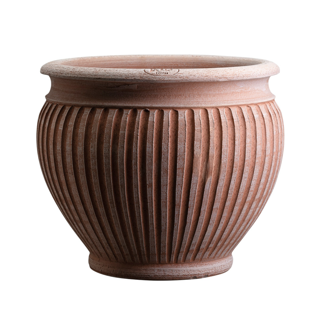 Piccolina Pot - Batten Home