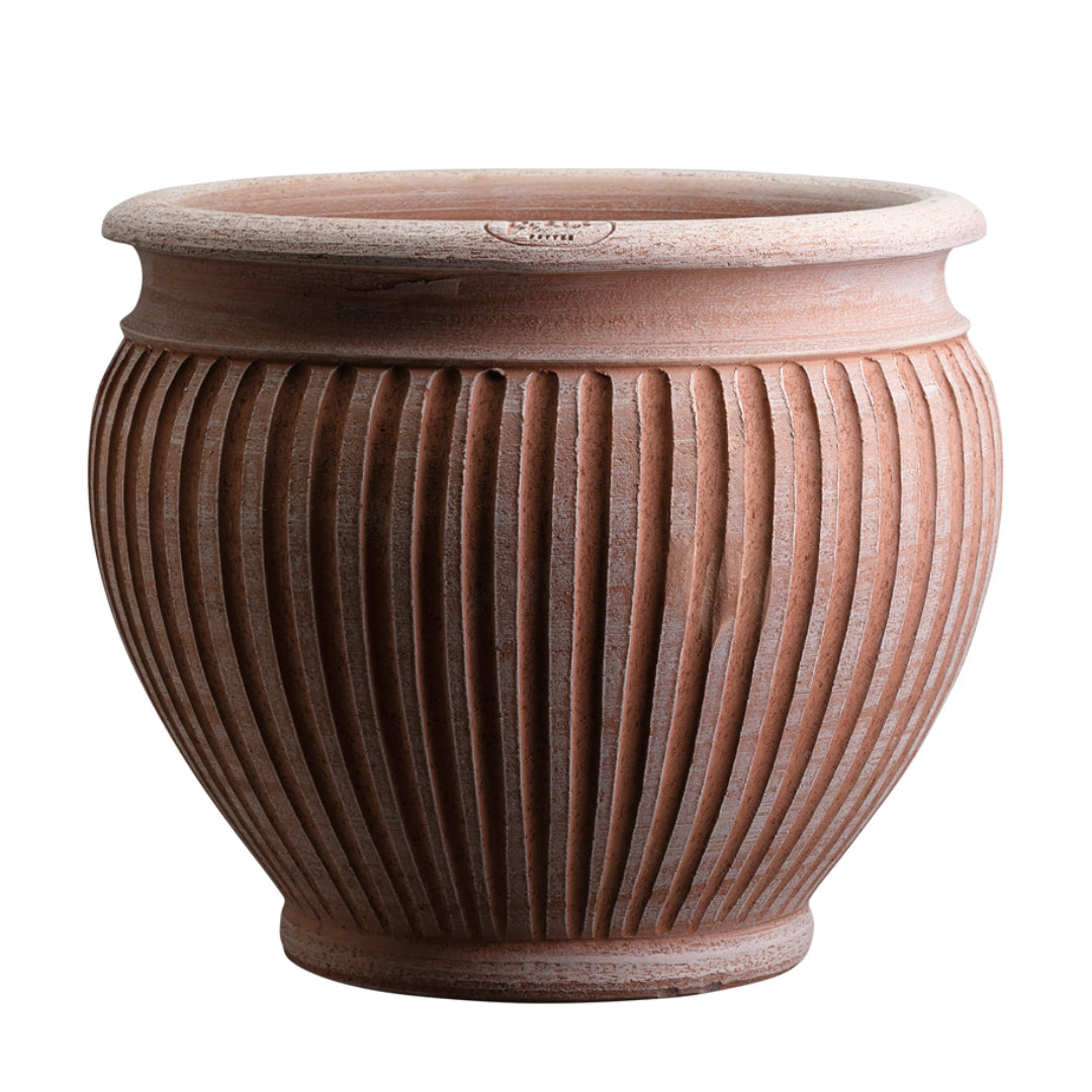 Piccolina Pot - Batten Home