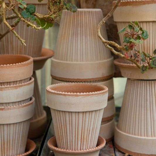 Simona Raw Pot - Rosa