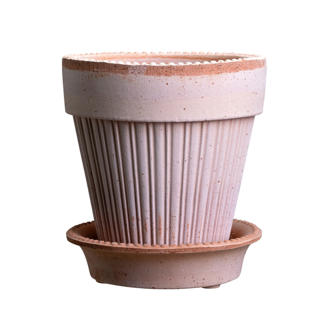 Simona Raw Pot - Rosa - Batten Home